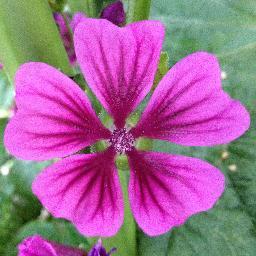 jajipack's profile picture. 音聴く人です 音楽の趣味は雑食 日田/阿蘇/小倉/久留米/農学/FM大分/ラジオ/水どう/平沢進/2BRO/JAZZ/スターダスト☆レビュー/鬼束ちひろ/宇多田ヒカル/星野源 「ALL THAT JAZZ！」DOPINGPANDAは不滅です！