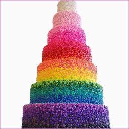 Dames & Dames
Heren & Heren
Dames  & Heren
Liefde is Liefde
Het actieve twitteraccount is @Trouwvrouw