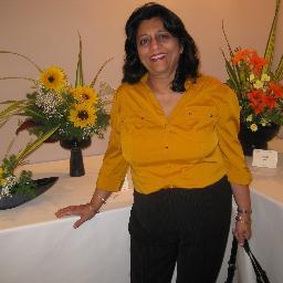 President/CEO of Pragati Inc. 20+ years of business experience and big data analysis experience.