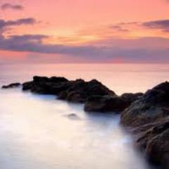 Half the confusion in the world comes from not knowing how little we need.-Richard E. Byrd