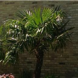 YardWorksSATX's profile picture. A referral based business since1996. Yard Works is a turnkey solution for your landscape needs.  Let your ideas flow or allow us to help you.