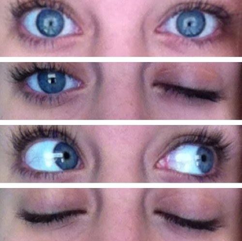 #ana #cat #deb #sue #izzy #ellie