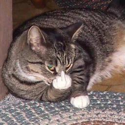 SatawatTom's profile picture. 