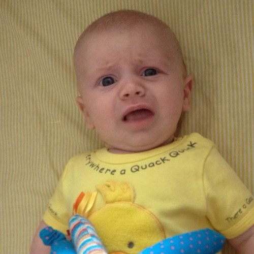 theMiniMeier's profile picture. Introducing the Mini Meier, born Feb 26, 2013. Hard fought, well loved, and incredibly grateful to be parenting after a 4-yr struggle with infertility & IVF.