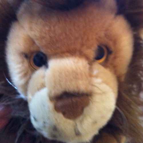 chidu13 Profile Picture