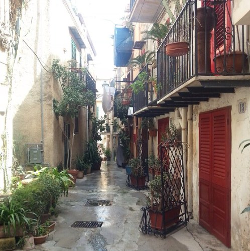 geyerin's profile picture. 