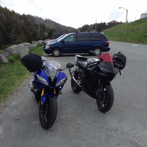 DicksRyan's profile picture. 