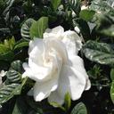 Cindy Barr - @cb_tropics - Twitter