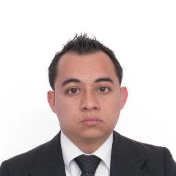Profesional en Negocios Internacionales y con conocimientos en Contabilidad y Finanzas