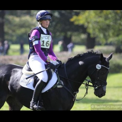 jolyseclancey's profile picture. We have a small breeding program decending from my mothers 4* mare Augermist!