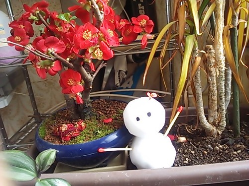 中村孝司 Jiji44t Twitter 中村孝司 Jiji44t Twitter