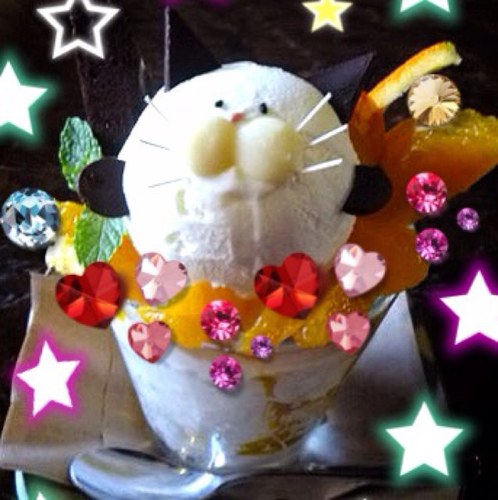 1229_yn Profile Picture