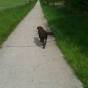 Suzanne Stelling - @suus019 - Twitter