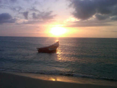 jserrano_20's profile picture. 