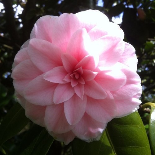 YasminAmrGaber's profile picture. Wish for others what you wish for yourself