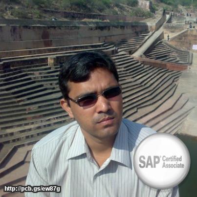 Certified SAP SD Consultant and have 17 year functional experience in Sales & Distribution.