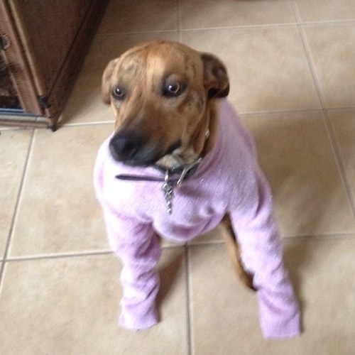 ejection_tweet's profile picture. 