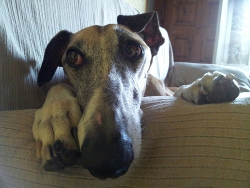 mogodia's profile picture. 