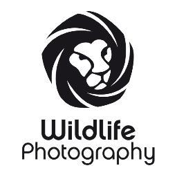 Founded by Martin Ureta in 2013, Wildlife Photography aims to raise awareness about endangered species and environmental issues through film and photography.