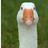 sheltopusik's profile image