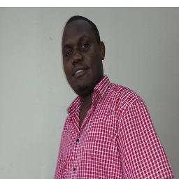 Information Professional