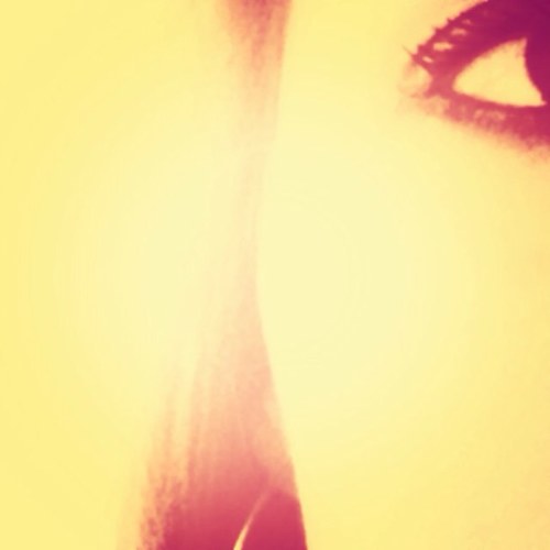 MsWibbles's profile picture. I came, I saw, I walked away....