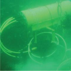 musings from 15 m below the ocean surface