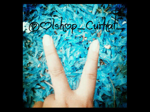 Merasa di tipu oleh OLSHOP/CUST? Curhat sebebasnya ke kita! ;) boleh share BLACK LISTED COSTUMER &OLSHOP PENIPU supaya Olshop & Cust lebih berhati-hati lagi :)