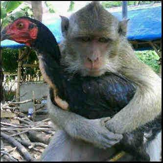 abduladamu76's profile picture. 