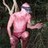TheTrailBrother's profile image