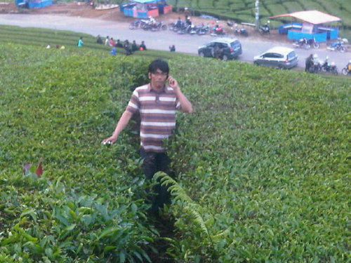 Pin.2b4feeb6