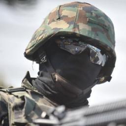 bachaking11's profile picture. 