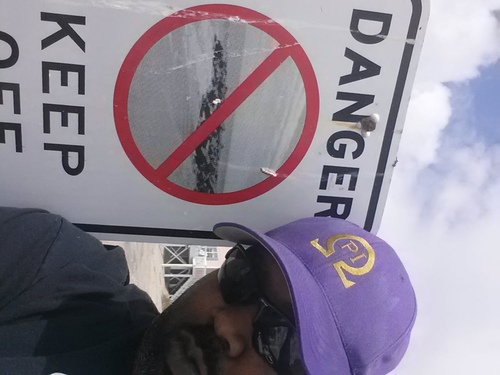 celleaceque's profile picture. 