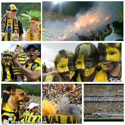 DvoTáchira. Vinotinto y Marea Roja. Esposo de una hermosa Panameña y padre de una bella Panameñita
🇻🇪 🇵🇦 🇦🇹🇮🇱 Viva Venezuela, Panamá, Austria e Israel🥰