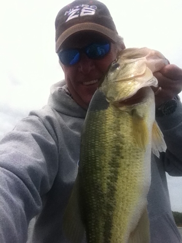 MartinKHorn's profile picture. 