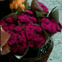 FAISAL AL-QAHTANI (@0535752105) Twitter