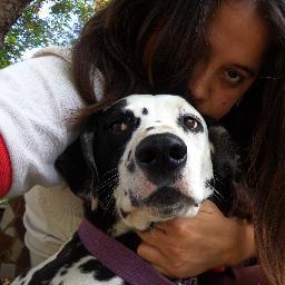 ubyalyymany's profile picture. We are one Dalmatian amusing