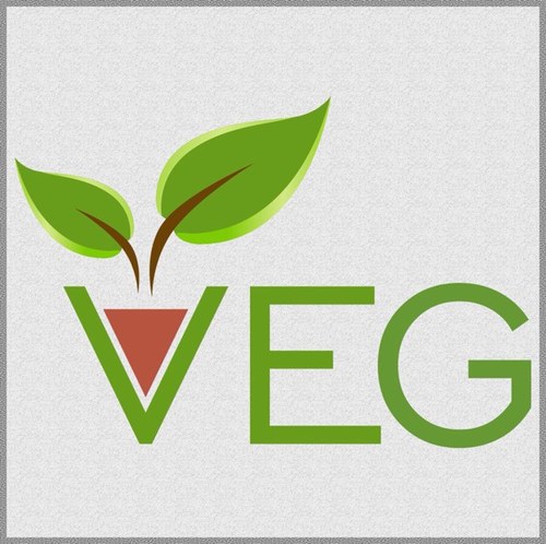 lacucinaveg's profile picture. 