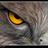 george_diotis's profile image