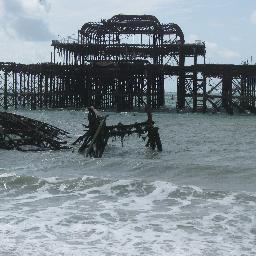 suzyoak's profile picture. 