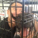 Robert Pak - @RobertPak1 - Twitter