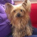 june eastman - @JuneEastman - Twitter