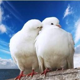 Elizabecitaf's profile picture. 