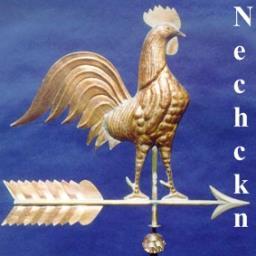 Nechckn's profile picture. Moderate, pragmatist, with OCD overtones. Information Assurance and Security Officer/Consultant; bit of a tech/gadget enthusiast. Concerned DC Citizen!