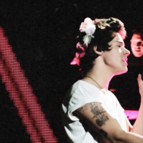 notactuallyhim's profile picture. Is that a phone in your pocket 'cause that ass is callin' me.