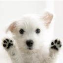 Jacques Lewis - @JacquesByLewis - Twitter