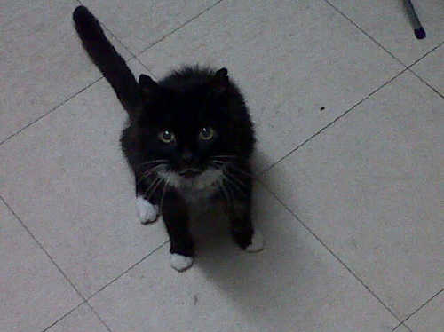 kellywas30484's profile picture. 29, Mum of 5 and massive fan of wrestling and geordie shore! Kinda geeky lol