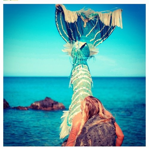 LifeOfMermaids's profile picture. Mermaids- Nothing but.