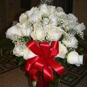 Berta Delgado - @DelgadoBerta - Twitter