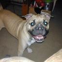 Garrett bishop - @Gbishop303 - Twitter